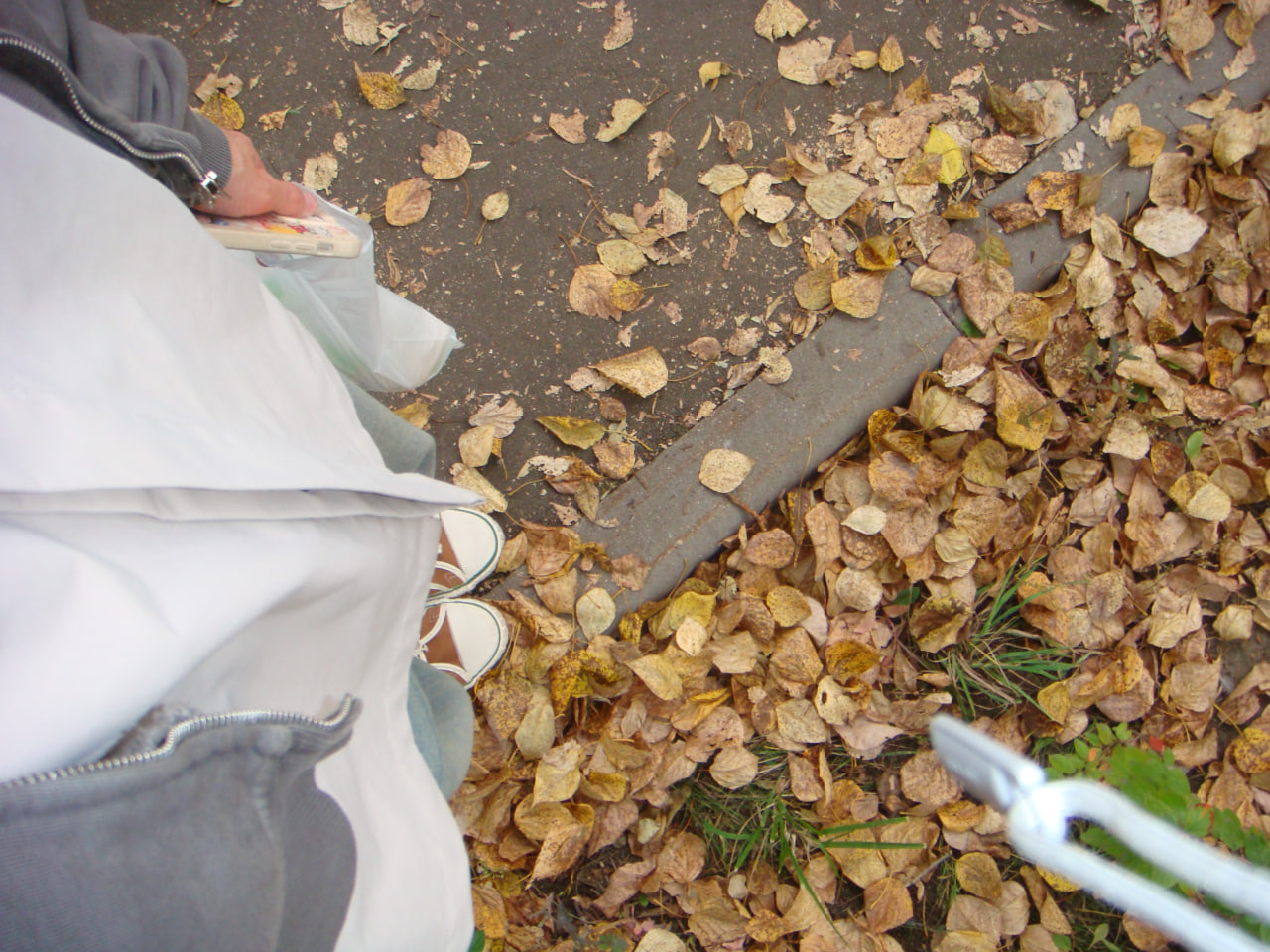 photo of a sidewalk with fallen autumn leaves